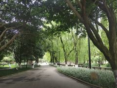 -温江公园