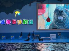 -蓬莱欧乐堡海洋极地世界