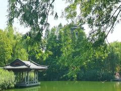 -济南大明湖景区