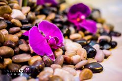 -三色锦婚礼定制