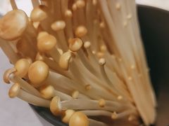 -海底捞火锅(宝龙广场夜宵主题店)