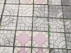 -保定市动物园