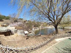 -北京西山国家森林公园