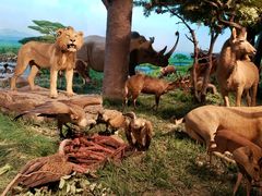 -国家自然博物馆