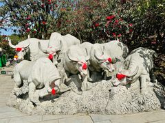 -贵州百里杜鹃风景名胜区