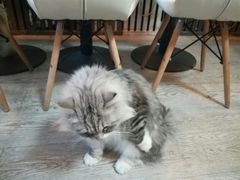 -小时光咖啡馆(北锣鼓巷店)