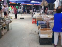 -长兴慧子土特产茶行