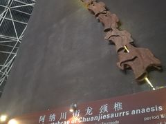 -世界恐龙谷景区