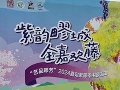 -嘉定紫藤园