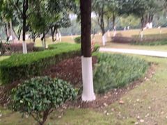 -重庆彩云湖湿地公园