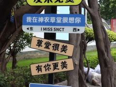 -广州神农草堂中医药博物馆