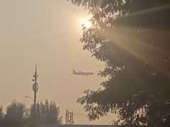 -宝安西湾红树林湿地公园