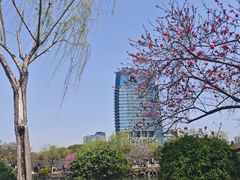 -无锡蠡湖国家湿地公园-蠡园
