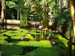 -国家植物园南园