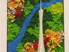 -云溪植物园