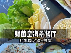 -野菌皇海景野生菌火锅(滨海大道店)