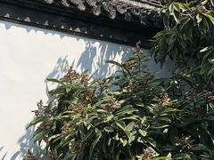 -何园
