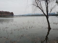 -宝界山林公园