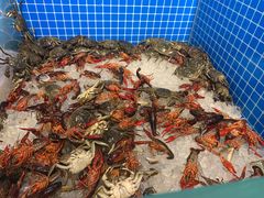 -乔哥铭洋海鲜自助(皇城恒隆广场店)