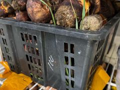 -菌之家·专业纯野生菌火锅·特色炒菌