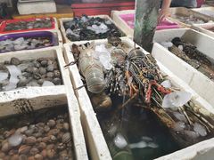 -金巴兰鱼市场