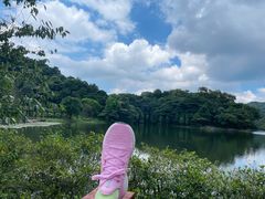 -广州市石门国家森林公园