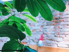 -VOYAGE COFFEE(北锣鼓巷店)