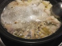 -百年果林椰子鸡(中洲店)