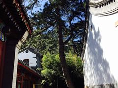 -北京鹫峰国家森林公园