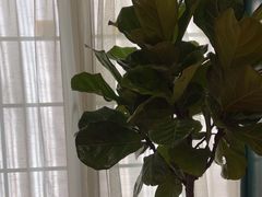 -懒人盐府人家·自贡大麻鱼(安贞店)