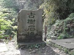 -南山植物园