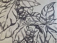 -瑞幸咖啡(芳村万象店)