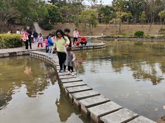 -聚龙山公园