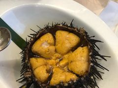 海胆-奕景海鲜(星海广场店)