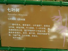 -紫竹院公园冰场