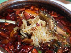 麻辣水煮八仙锅-荷风细雨·中国茶宴(碧云店)