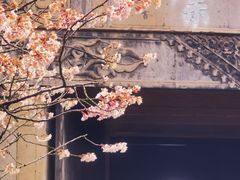 -拙政园