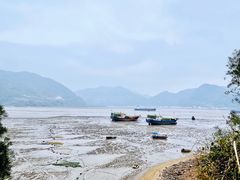-北岐滩涂