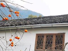 -塔川景区