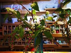 店内环境-今日陶艺(富力广场店)