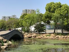 -蠡湖大桥公园