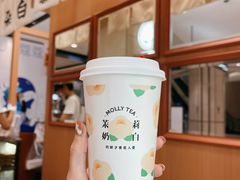 茉莉奶白-茉莉奶白