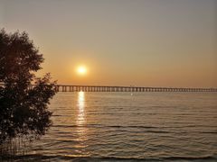 -宝安西湾红树林湿地公园