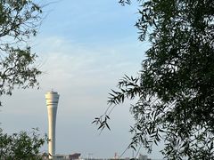 -上海吴淞炮台湾国家湿地公园