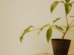 -CAFE'IN精品咖啡体验空间(小寨店)
