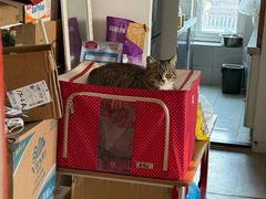 -美联众合动物医院·24h转诊中心