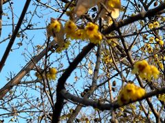 -泰山风景名胜区-普照寺