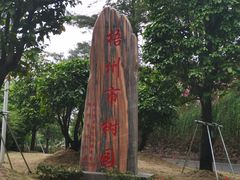 -白云山风景名胜区