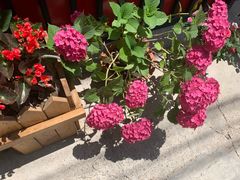 -何适山庄 ·可团建(水长城P2停车场店)