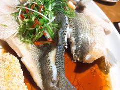 清蒸鲈鱼-周锦记广式餐厅